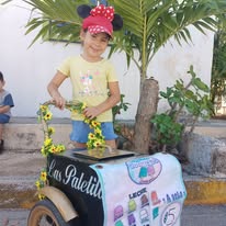 Carrito de paletitas